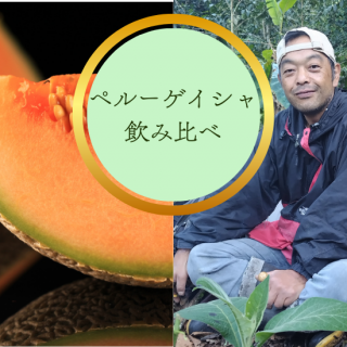 10OFF/Webʸۥڥ롼  ٥å