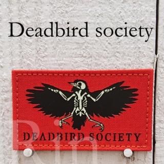 <img class='new_mark_img1' src='https://img.shop-pro.jp/img/new/icons61.gif' style='border:none;display:inline;margin:0px;padding:0px;width:auto;' />Dedbird society ǥåɥСɥƥ v4 Blaze  ѥå