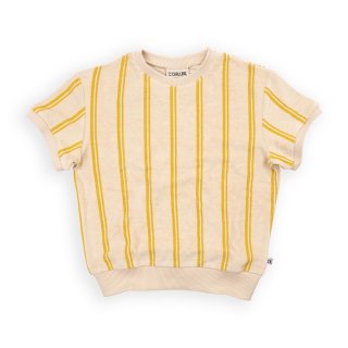 <img class='new_mark_img1' src='https://img.shop-pro.jp/img/new/icons34.gif' style='border:none;display:inline;margin:0px;padding:0px;width:auto;' />50%OFFCARLIJNQStripes Yellow Sweater Short Sleeve (134/140 Last 1 !)