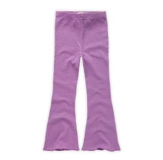 <img class='new_mark_img1' src='https://img.shop-pro.jp/img/new/icons34.gif' style='border:none;display:inline;margin:0px;padding:0px;width:auto;' />50%OFFSPROETSPROUTFlare Legging Purple