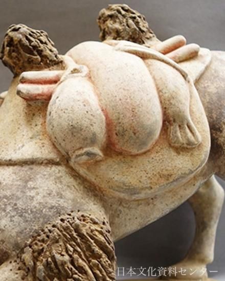 加彩駱駝(六朝・222~589年)ラクダ,シルクロード,俑,西域,隋,唐 加彩駱駝(六朝・222~589年)ラクダ,シルクロード,俑,西域,隋,唐