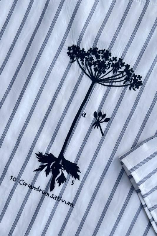 ANTIPAST ֥饦  ϥɻɽ