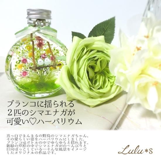 Lulu＊s ルルズ シマエナガちゃんのハーバリウム 【草原の