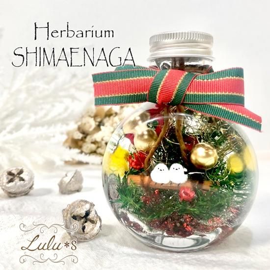 ◇ハーバリウム167小さなmerry Christmas *.:。✿*゜¨