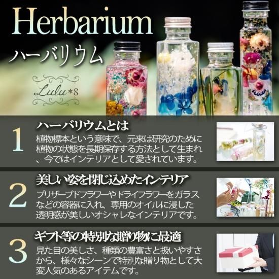 Lulu＊s ルルズ 向日葵 ひまわり シマエナガ ハーバリウム