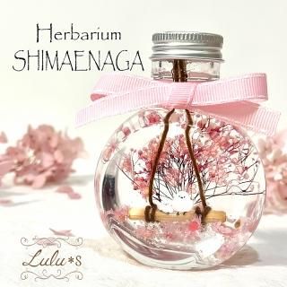 バラ髪飾り♡仲良しシマエナガ&花束