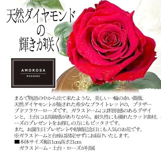 楽天市場】油彩画 F6号 千賀節子 「赤薔薇」 真筆 額入り 額装