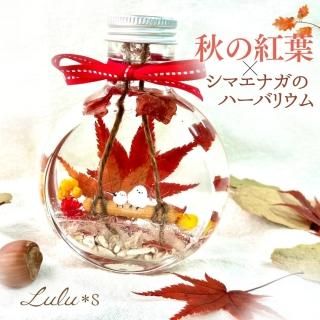 シマエナガグッズ特集 - Lulu＊s ～ルルズ～ 各種フラワーギフト
