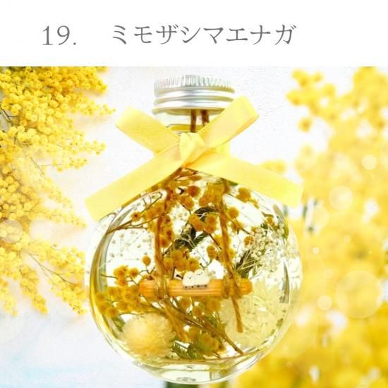 【専用】☆キラキラシマエナガのクリスマスツリー☆固まるハーバリウム 066ca4f58521ae3ed15f0ade97ae61