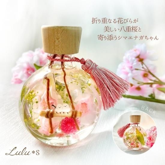 八重桜 さくら サクラ シマエナガ ハーバリウム 春 Lulu＊s ルルズ