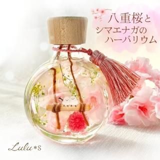 4880☆ シマエナガ クリームケース 10g レジン ハンドメイド