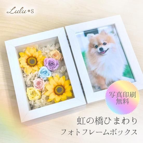 ひまわり様　ラブブ　専用枠 産地直送 ひまわり花束 ミックス蕾咲き M（20本入り）／千葉