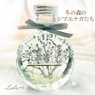 No.121 クリスマスver.冬のぷかぷかハーバリウム3本set 1_96c204252bc7acfe332961af5e8d