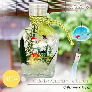 金魚のハーバリウム | 涼感インテリア - Lulu＊s 〜ルルズ
