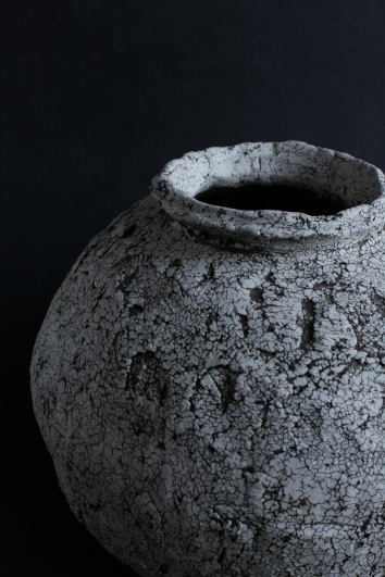 壺 中根 楽作, Dtree gallery