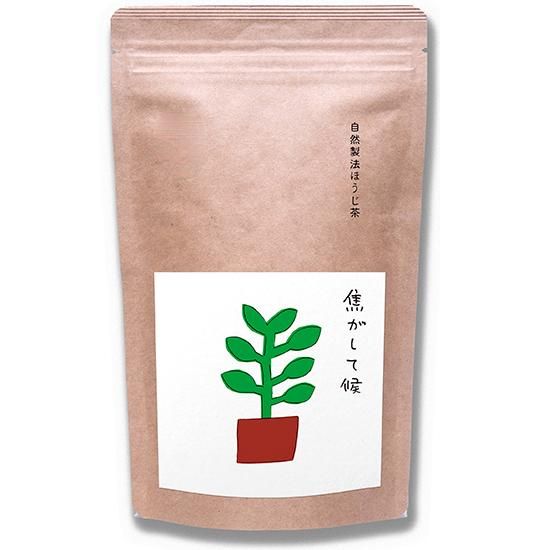 自然製法 ほうじ茶 ≪焦がして候≫ 茶葉 or ティーバッグ - つきまさ