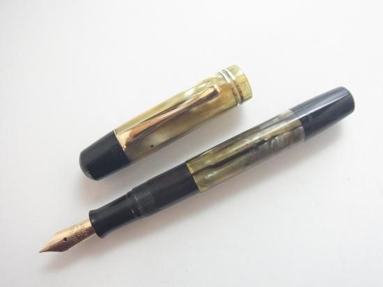 ペリカン 101N トータスシェルブラウン (天冠黒) - PEN-LAND