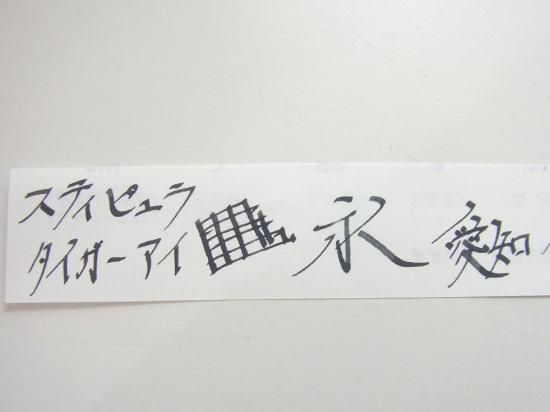 スティピュラ イ・カストーニ タイガーアイ - PEN-LAND