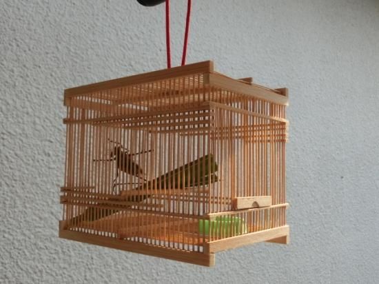 キリギリス竹かご飼育セット