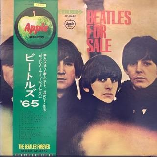 ӡȥ륺/ӡȥ륺65  ե