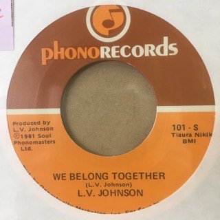 L.V.JOHNSON/WE BELONG TOGETHER