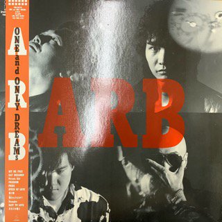 ARB/󎥥Ɏ꡼ɥ꡼ॹӡ/ONE and ONLY DREAMs
