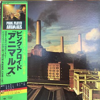 ピンク フロイド アニマルズ Pink Floyd Animals 中古レコード通販 アビーロード浜松店 Abbey Road Records