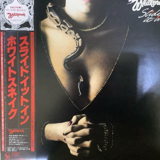 ۥ磻ȥͥ/饤ɥåȥWHITE SNAIKE/SLIDE IT IN