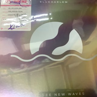 ʡ襮˥塼֥/֥롼ϡࡡYOGEE NEW WAVES/BLUEHAREM