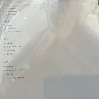 青葉市子 Windswept Adan アダンの風 レコード 新品 青葉市子/アダンの風 ICHIKO AOBA/Windswept Adan - 中古