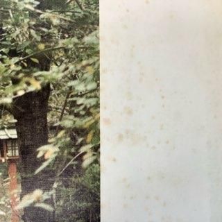 梶芽衣子/きょうの我が身は・・・ - 中古レコード通販 アビー