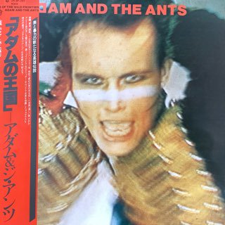 アダム ジ アンツ アダムの王国 Adam And The Ants Kings Of The Wild Frontier 中古レコード通販 アビーロード浜松店 Abbey Road Records