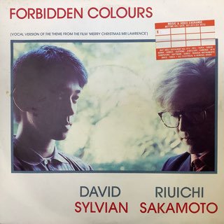 ǥåɥӥ ζ/եӥǥ󥫥顼DAVID SILVIAN/FORBIDDEN COLOURS