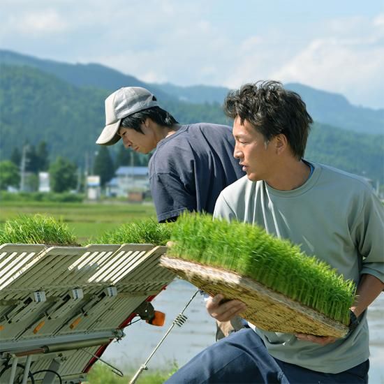 ギフト箱付き】令和6年度米 無農薬・無化学肥料栽培米 2kg ギフト箱付き】令和6年度米 無農薬・無化学肥料栽培米 2kg
