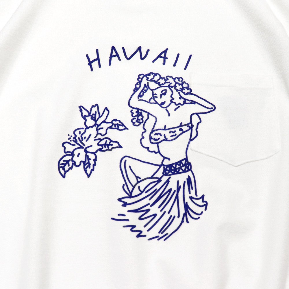 ORIGINAL Charcoalʥꥸʥ 㥳Riversible S/S Hawaii, ORIGINAL Charcoal, T-Shirt, SweatS/S, NO.24-01-1-008