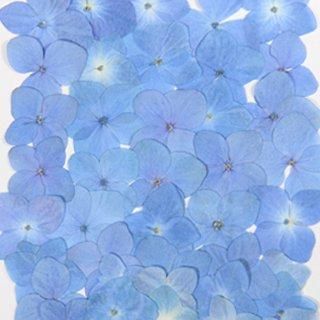 <img class='new_mark_img1' src='https://img.shop-pro.jp/img/new/icons25.gif' style='border:none;display:inline;margin:0px;padding:0px;width:auto;' />