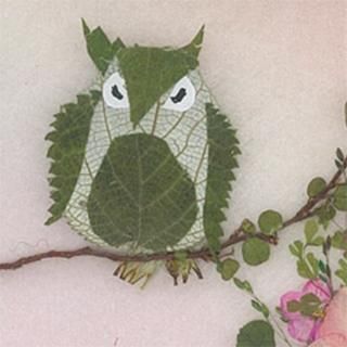 ふくろう　フクロウ　梟　押花　押し花　切り絵　アップリケ 43a9d726b2b885a27e3cb24f31b396