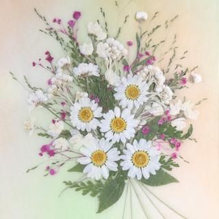 白い花束 押し花 通販 販売