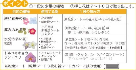 押し花 乾燥シート 販売 押し花 乾燥シート 販売