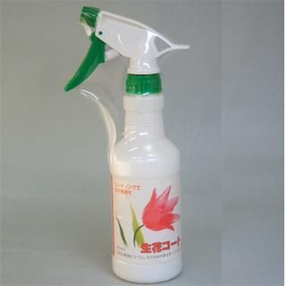 ֥ȥץ졼ʥɥ饤եȡ300ml