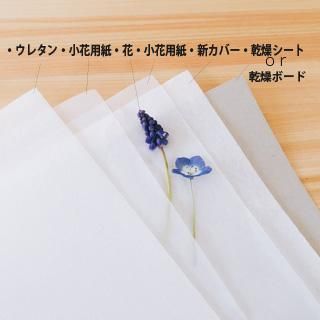 押し花 ウレタン小 販売 押し花 ウレタン小 販売