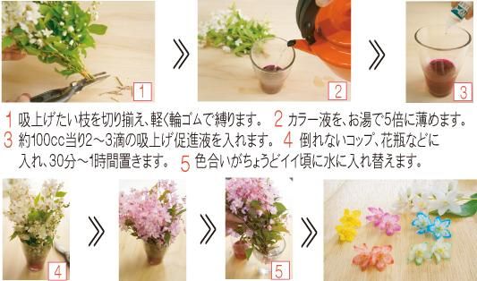 押し花 押花 おしばな クリエイト 手作り 着色 色 カラー液 切花用着色剤 押し花 押花 おしばな クリエイト 手作り 着色 色 カラー液 切花用着色剤