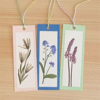 雑貨作品 キーホルダー等 押し花ショップクリエイト 雑貨作品 キーホルダー等 押し花ショップクリエイト