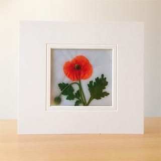 生花で作る押し花絵キット