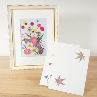 お知らせ 押し花ショップクリエイト