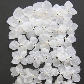 あじさい 押し花 販売