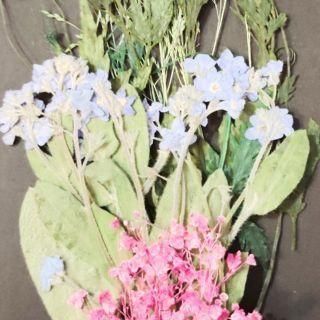 <img class='new_mark_img1' src='https://img.shop-pro.jp/img/new/icons16.gif' style='border:none;display:inline;margin:0px;padding:0px;width:auto;' />ͥåȸꡡȥåB