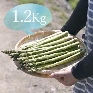 野菜 - 【かわかみファーム】 アスパラガスと夏野菜の定期宅配