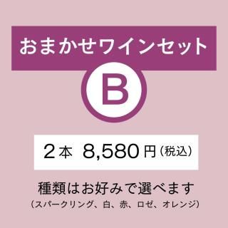 ޤ磻󥻥åBʣܡ