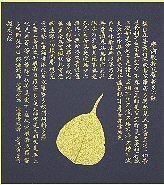 ̼㿴п桡դϼǧ᡼